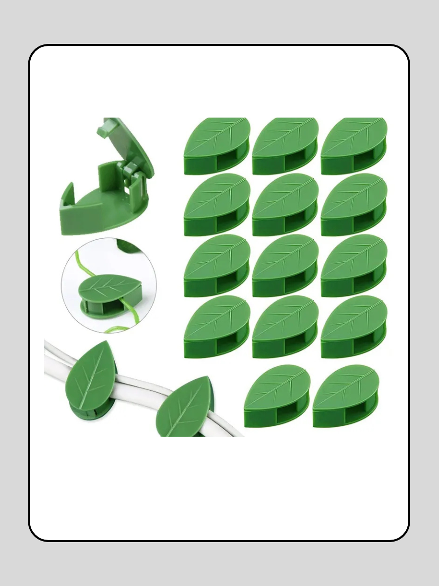 منظم نباتات متسلقه